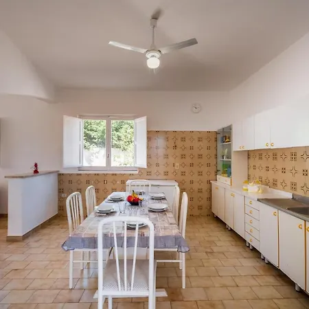 Edy Villa